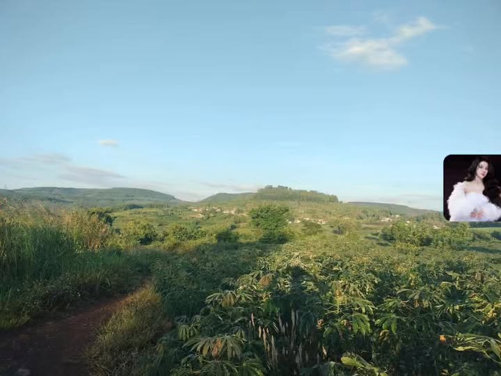 Đất thổ cư Thôn Lam Sơn, An Thọ, Tuy An 11.144m² - Thích hợp nghỉ dưỡng cuối tuần!