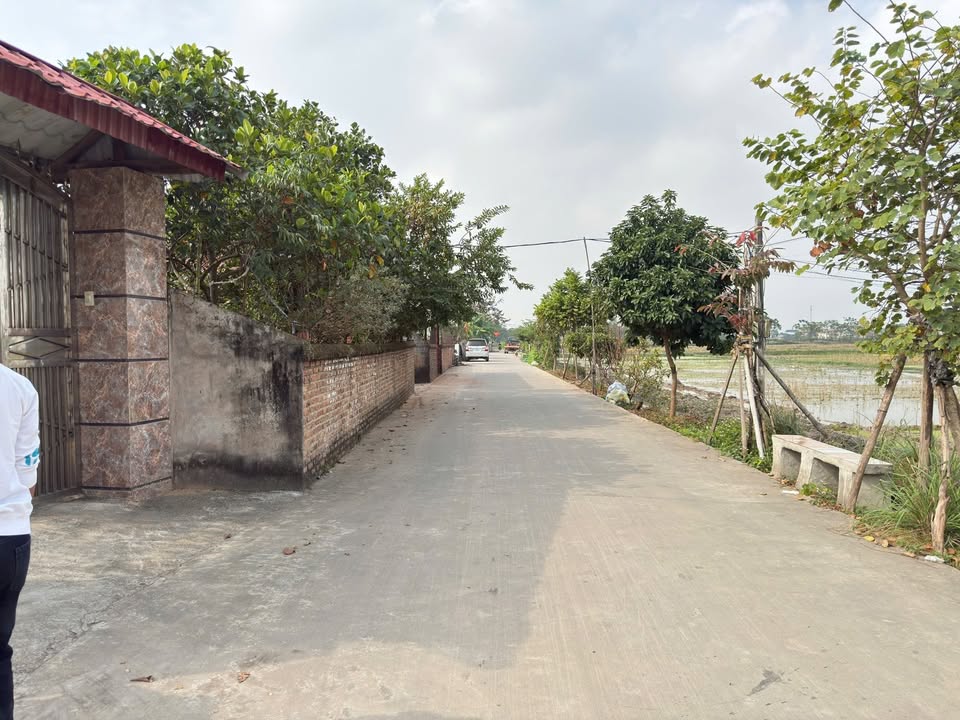 Đất nền Tự Lạn, Việt Yên 213m² giá 1.9 tỷ - Đầu tư sinh lời ngay!