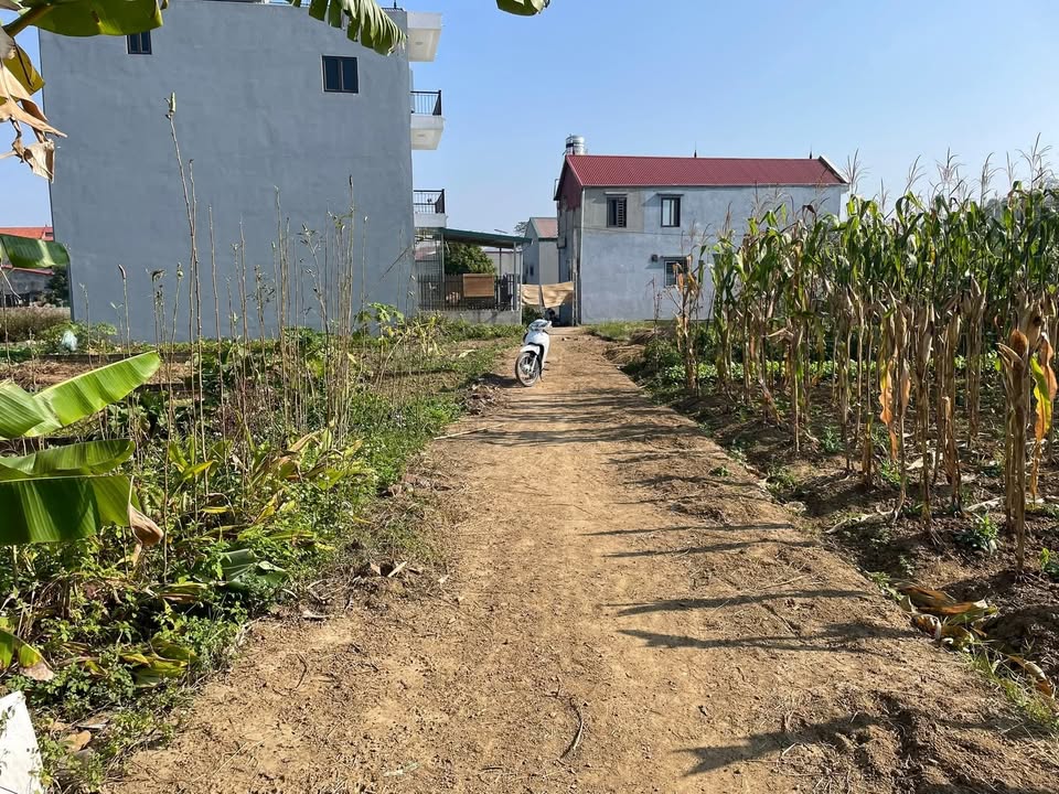 Đất thổ cư 70m² Thôn Khòn Khuyên, Mai Pha - Giá tốt, đầu tư sinh lời!