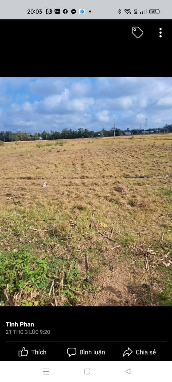 Đất ruộng mặt tiền đường Bờ Kênh, xã Ngũ Lạc, huyện Duyên Hải - Diện tích 70.000m² chỉ 1 tỷ!