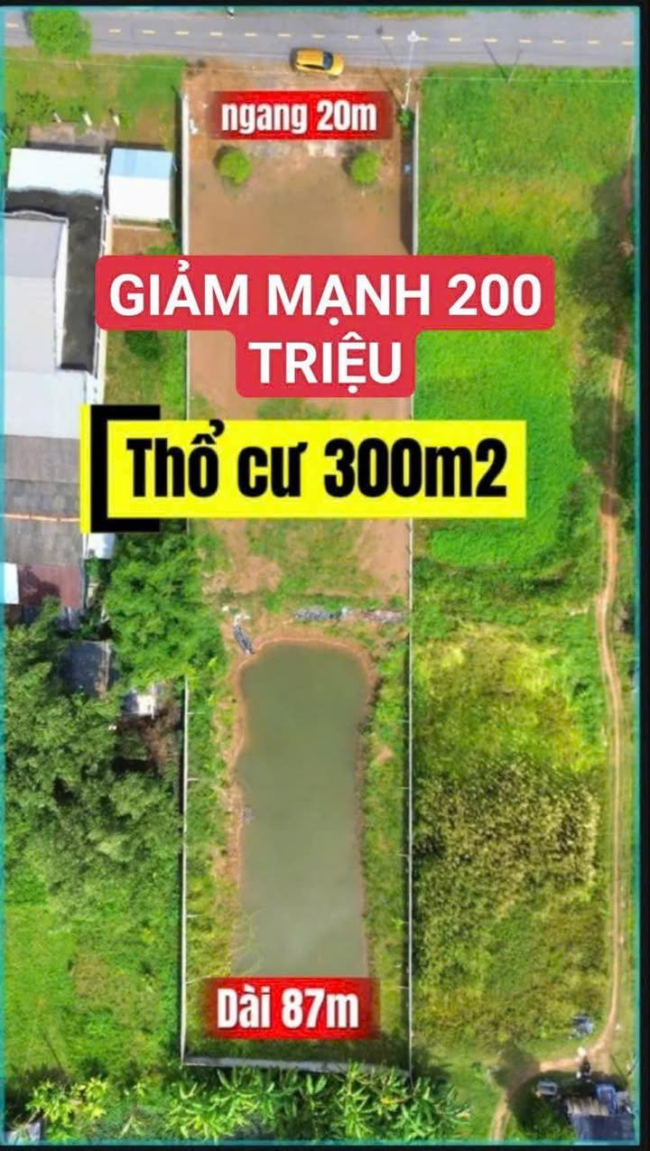 Đất thổ cư 300m² gần chợ Long Hữu - Giá chỉ 2.2 tỷ!