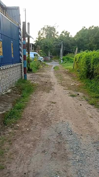 Nhà vườn Ấp Bình Hữu 2, Đức Hòa 384.75m² giá 2.6 tỷ - Đầu tư tuyệt vời cho gia đình!