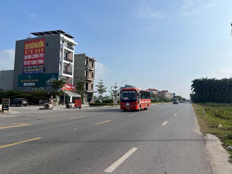 Đất mặt đường Quốc lộ 31 - Tân Dĩnh, Bắc Giang 120m² - Sổ đỏ chính chủ, giá thỏa thuận!