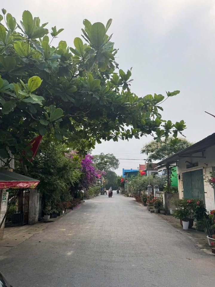 Đất nền Thái Hòa, Long Sơn 273m² - Vị trí đẹp, giao thông thuận lợi!