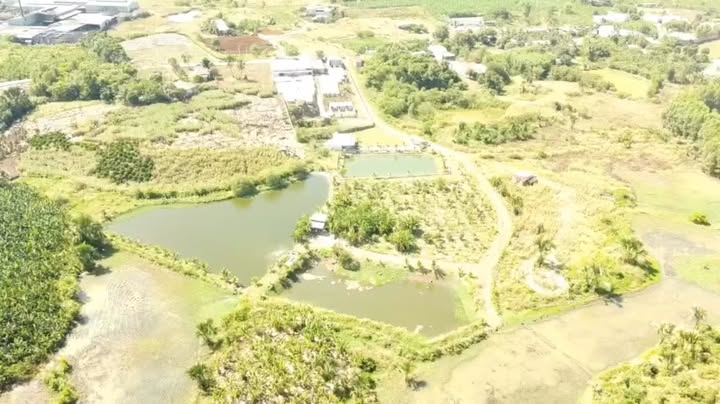 Đất vườn 4,7 sào tại Vĩnh An, Đồng Nai giá 2.115 tỷ - Thiên nhiên bao quanh lý tưởng!