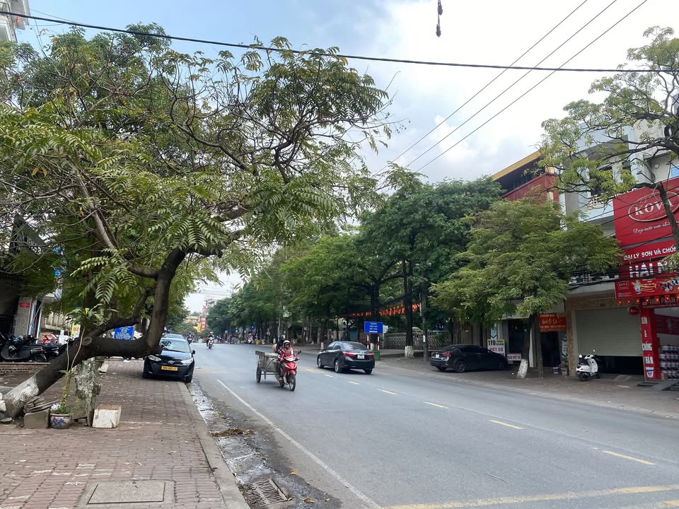 Nhà phố kinh doanh mặt đường Ngô Gia Tự 47m² giá 6.5 tỷ - Cơ hội vàng cho gia đình trẻ!