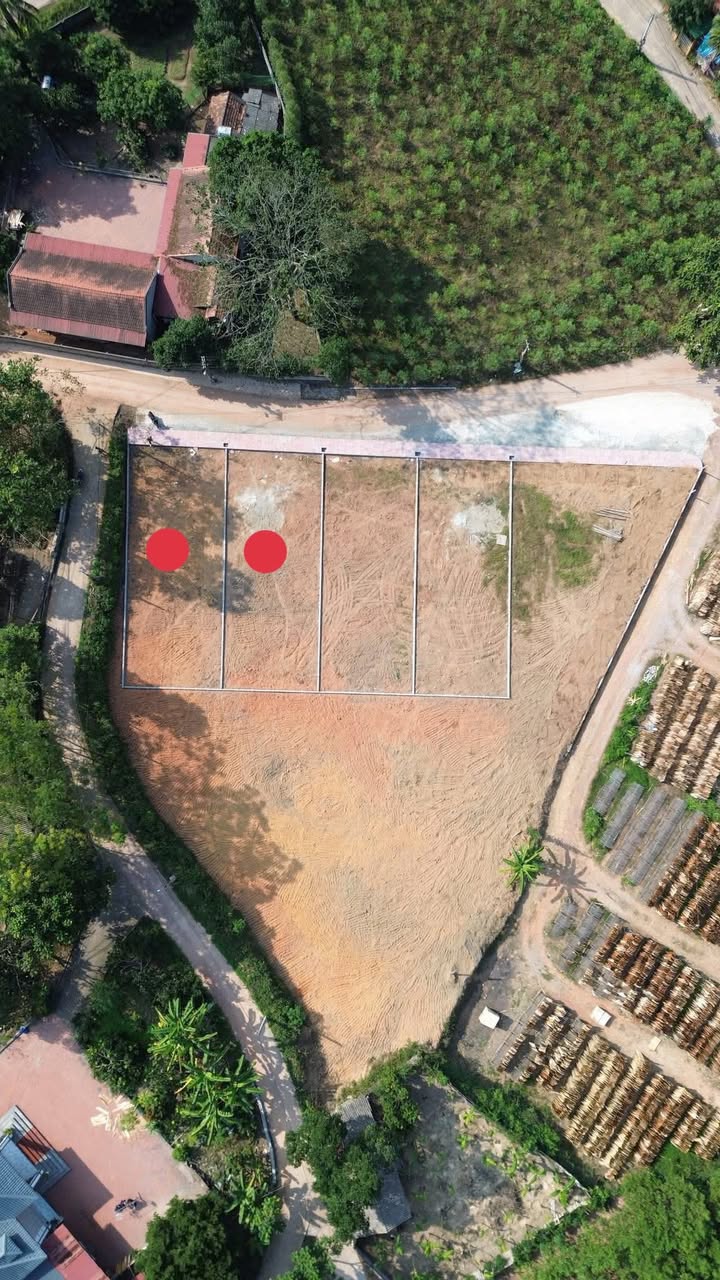 Đất nền Tam Tiến, Tiên Du, Bắc Ninh 250m² giá 600 triệu - Cơ hội đầu tư hấp dẫn!