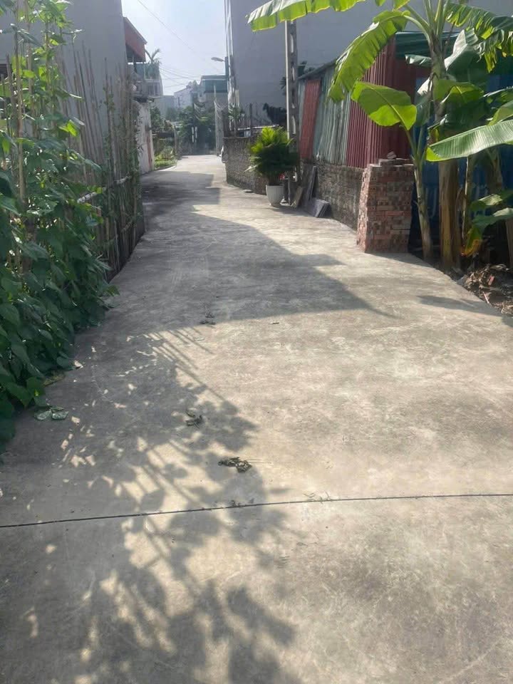 Đất nền Lý Anh Tông, Hải Tân, 55m² giá chỉ 850 triệu - Sổ đỏ chính chủ!