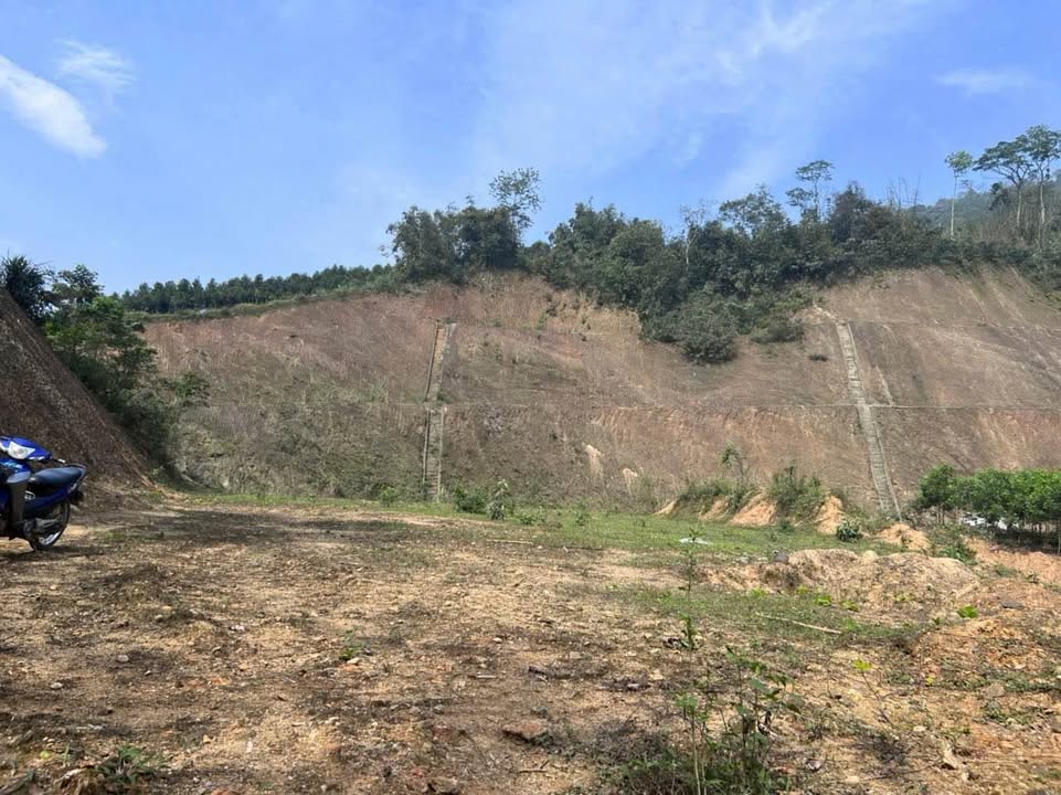 Đất Farm Tân Phú Tân Sơn 15ha giá chỉ 1.5 tỷ - Cơ hội đầu tư tuyệt vời!