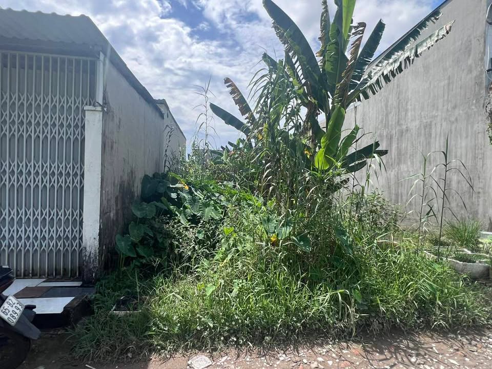 Đất nền Hẻm 146 Hoàng Quốc Việt Cần Thơ 100m² giá 2.39 tỷ - Pháp lý thổ cư hoàn chỉnh!