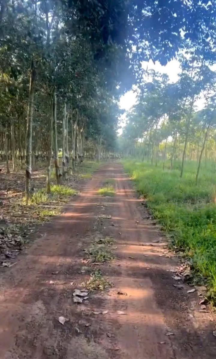 Đất nền Tân Thành, Đồng Xoài 34.000m² giá 5.1 tỷ - Cơ hội đầu tư tuyệt vời!