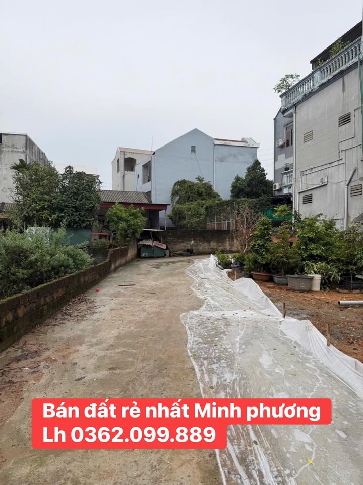 Đất nền Minh Phương 90m² giá 15xx triệu - Cơ hội đầu tư hấp dẫn!
