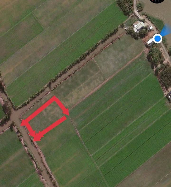 Đất nông nghiệp Vọng Thê Thoại Sơn 43,000m² giá 90 triệu/công - Cơ hội đầu tư hấp dẫn!