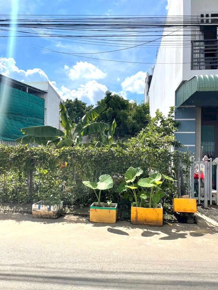 Đất nền đường Số 8, Bình Đức, Long Xuyên, 85m² - Giá chỉ 1 tỷ!