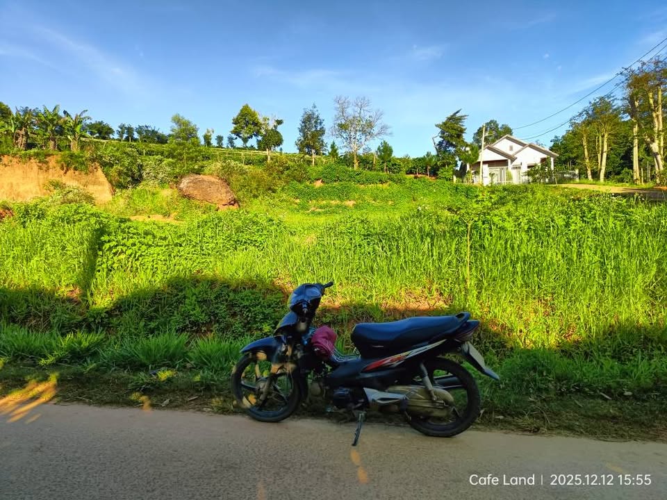 Đất thổ cư Đà Loan 1.525m² giá chỉ 130 triệu/m ngang - Cơ hội đầu tư tuyệt vời!