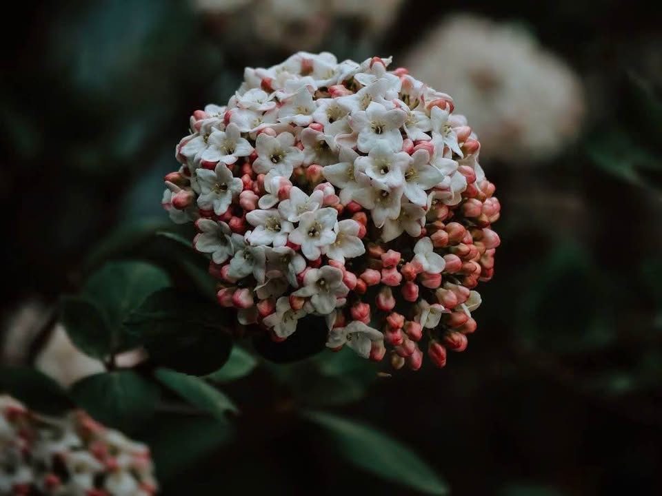 Đất nền 3700m² phường An Hội, Châu Thành, giá 12.95 tỷ - Cơ hội đầu tư hấp dẫn!