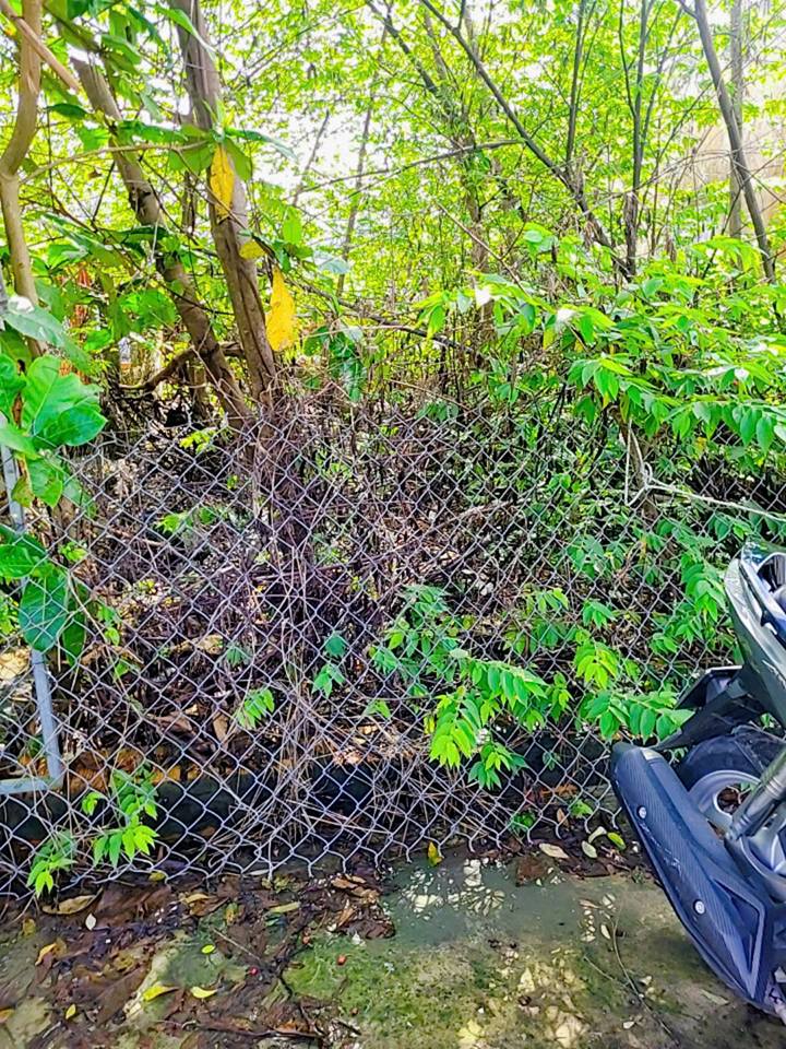 Đất thổ cư Vĩnh Long 73m² giá 1.15 tỷ - Khu vực vượt lũ an toàn!