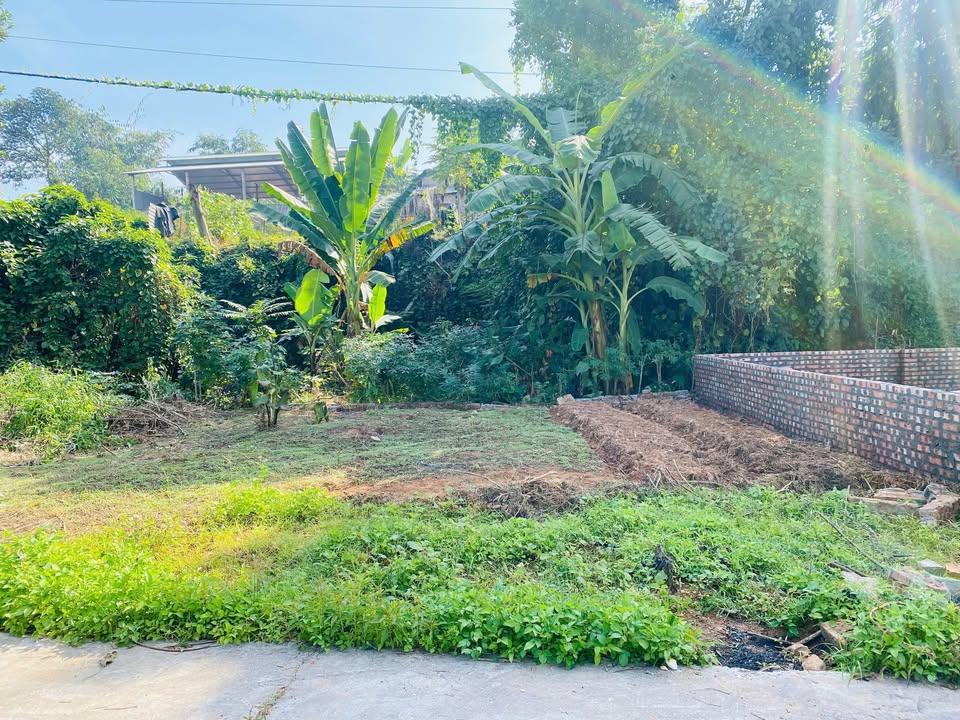 Đất nền Liên Bảo Vĩnh Yên 112m² giá 1.3 tỷ - Đầu tư sinh lời ngay!