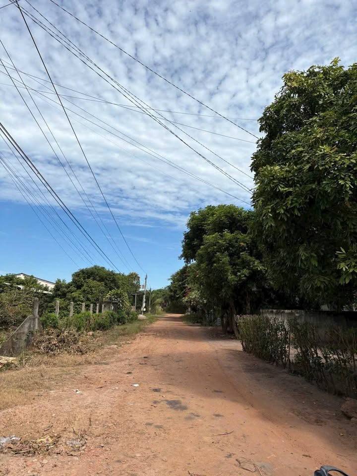 Đất thổ cư Tân Hưng Tân Châu Tây Ninh 510m² giá 300 triệu - Đầu tư sinh lời ngay!