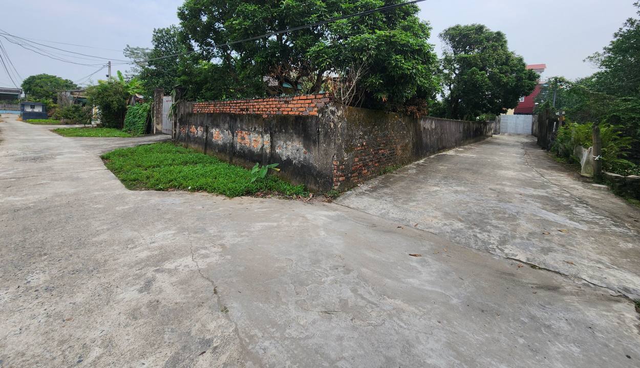 Đất thổ cư 389m² mặt tiền 14m tại Tam Quang, Vũ Thư - Giá chỉ 1.9 tỷ!