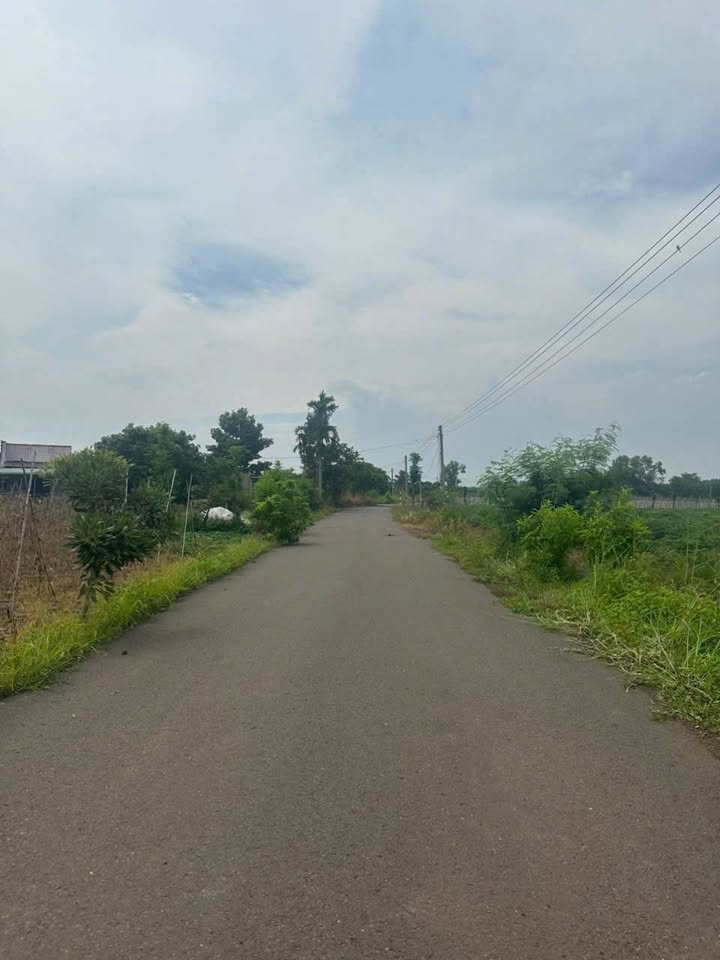 Đất nền Xuân Sơn, Châu Đức, Bà Rịa - Vũng Tàu 734m² giá 1.25 tỷ - Cơ hội đầu tư tuyệt vời!