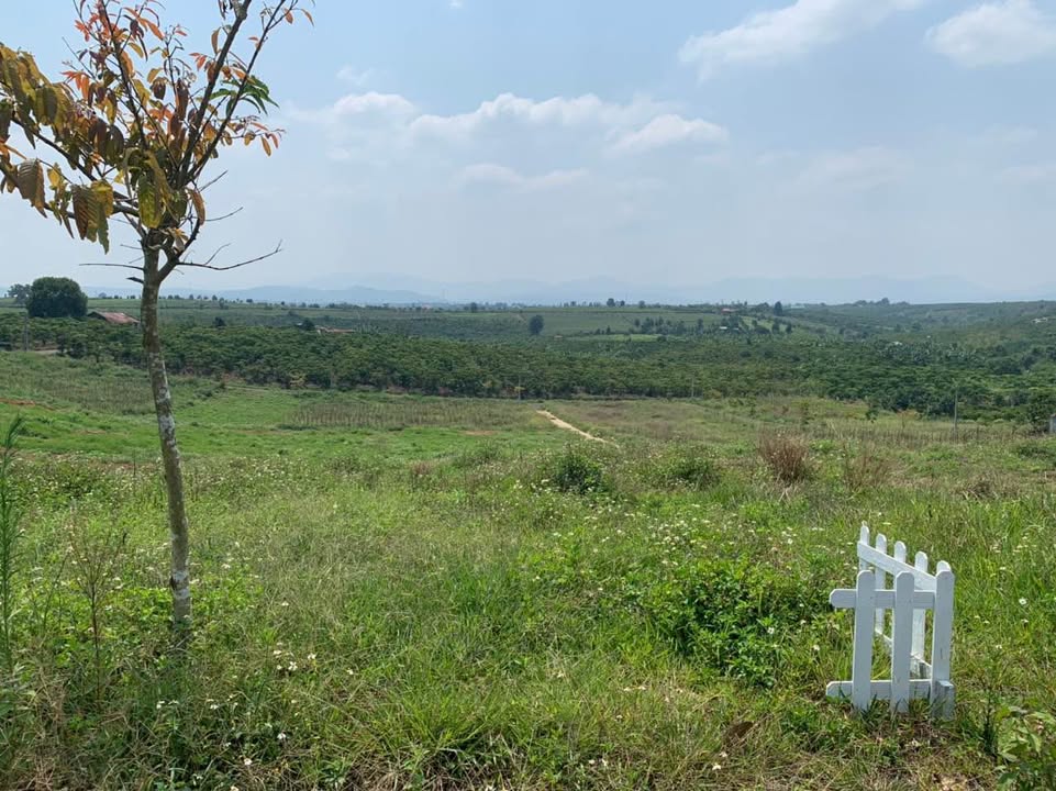 Đất nền Lộc An Bảo Lâm 111.8m² giá thỏa thuận - Cơ hội đầu tư hấp dẫn!