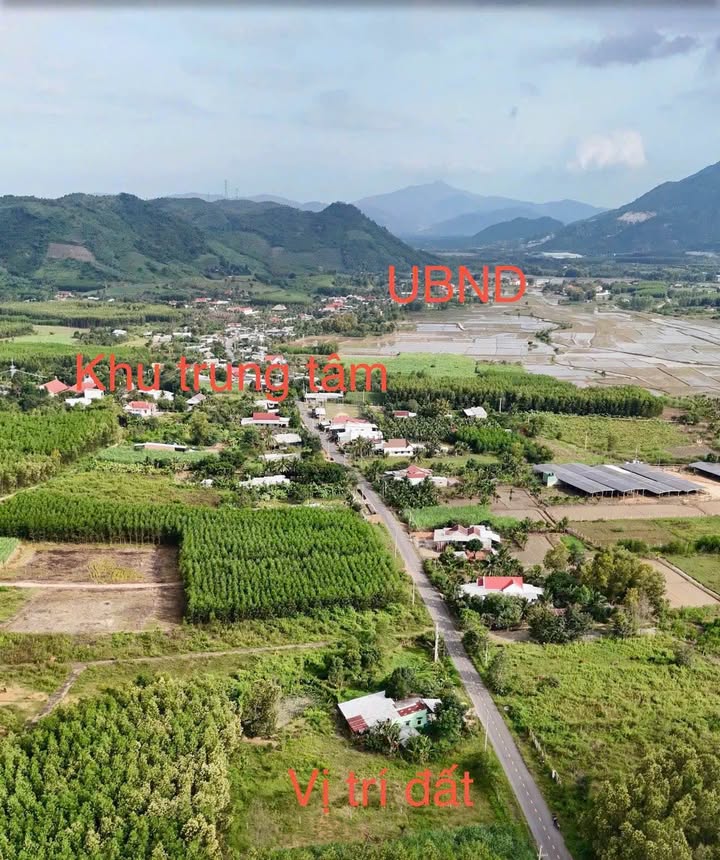 Đất nền Hương Lộ 62, Diên Tân 293m² giá 780 triệu - Cơ hội đầu tư sinh lời!