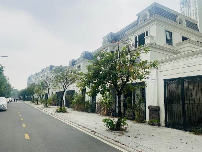 Biệt thự đơn lập Roman Plaza 200m² giá thỏa thuận - Vị trí vàng, không gian thoáng đãng!