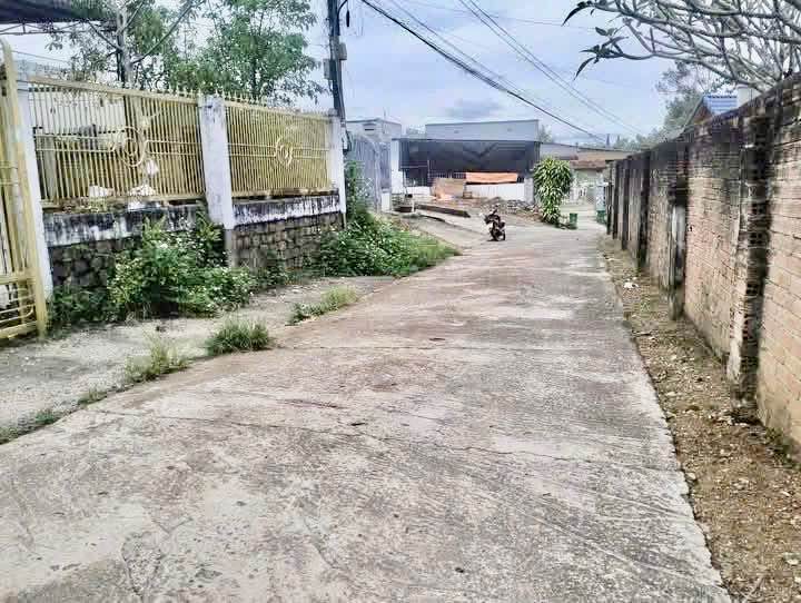 Nhà cho thuê hẻm Phan Đình Phùng, Bảo Lộc 2PN giá 4.5 triệu - Không gian xanh lý tưởng!