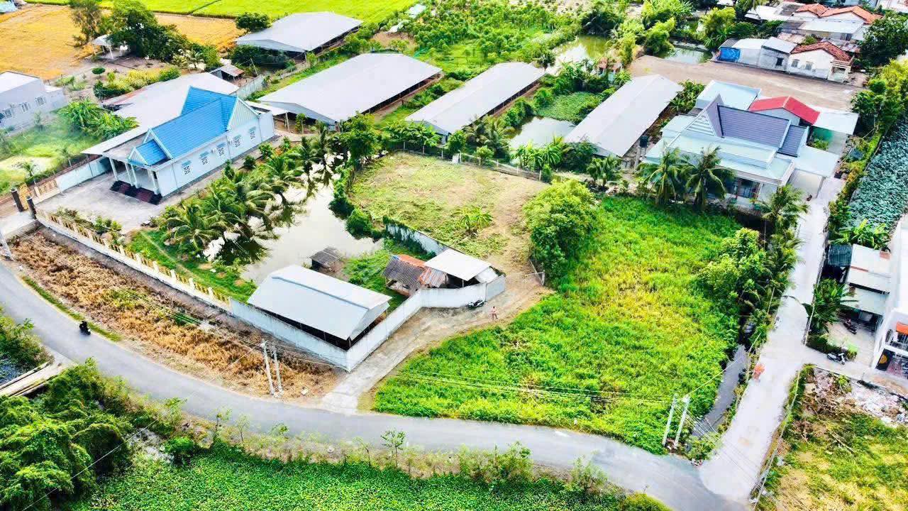 Đất nền Mỹ Lộc Cần Giuộc 753m² giá 2.999 tỷ - Đầu tư sinh lời ngay!