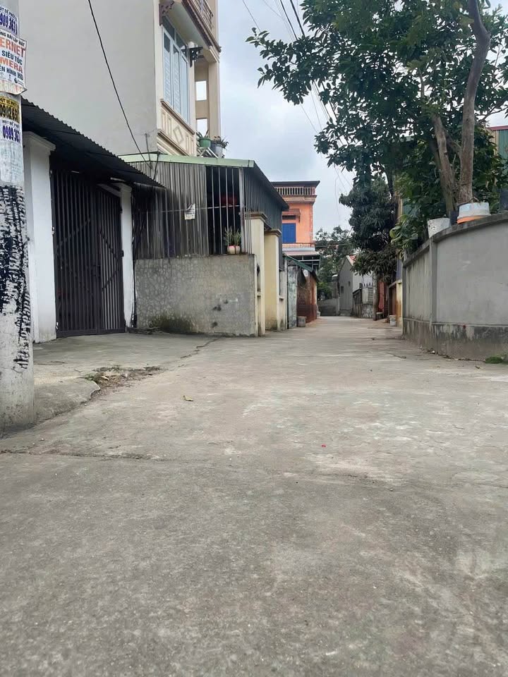 Nhà cấp 4 Thôn Sài Phi, Minh Đức 98,5m² giá 2 tỷ - Tiềm năng tăng giá cao!