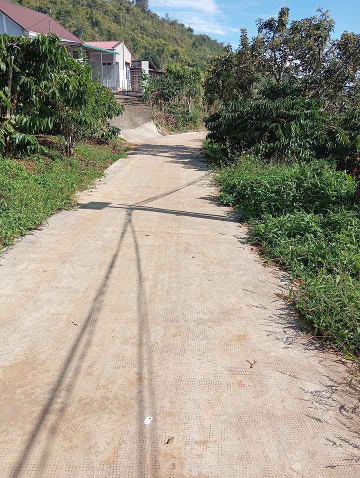 Lô đất vườn Đan Phượng 6400m² giá 5.5 tỷ - Đầu tư sinh lời cao!