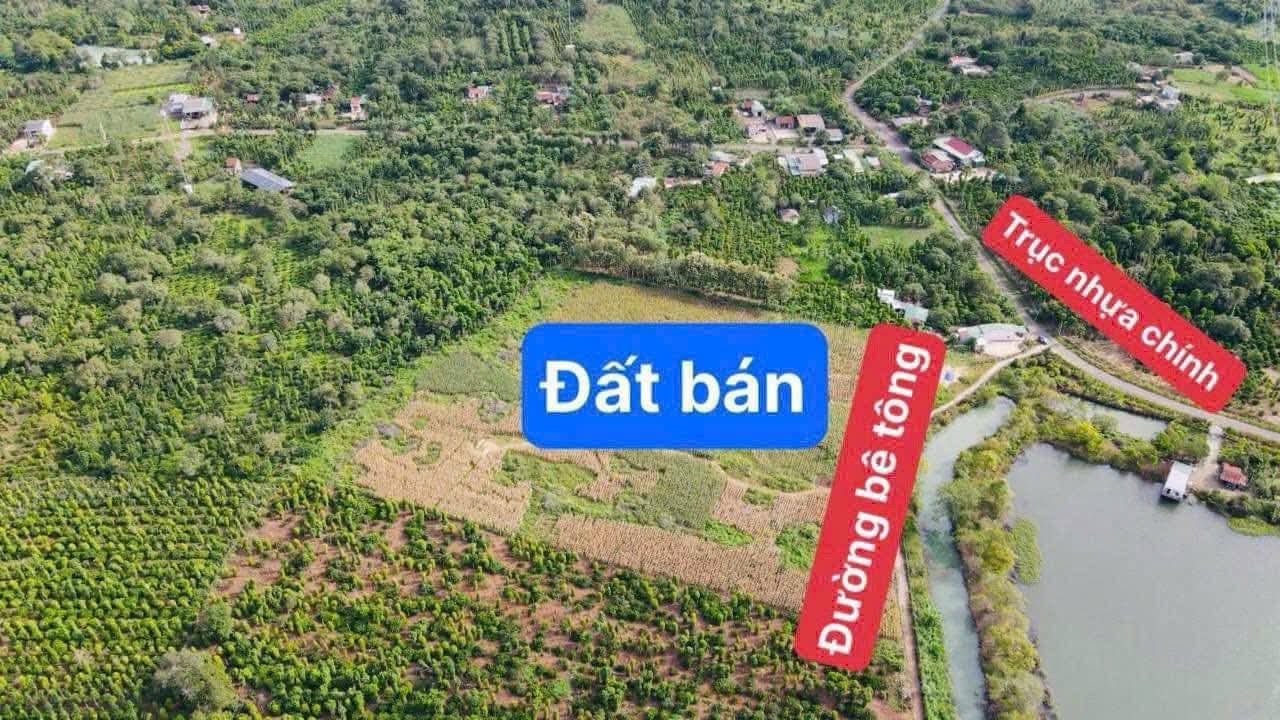 Đất nền Quảng Hiệp, Cư M'gar, Đắk Lắk 1000m² giá 255 triệu - Đầu tư sinh lời!