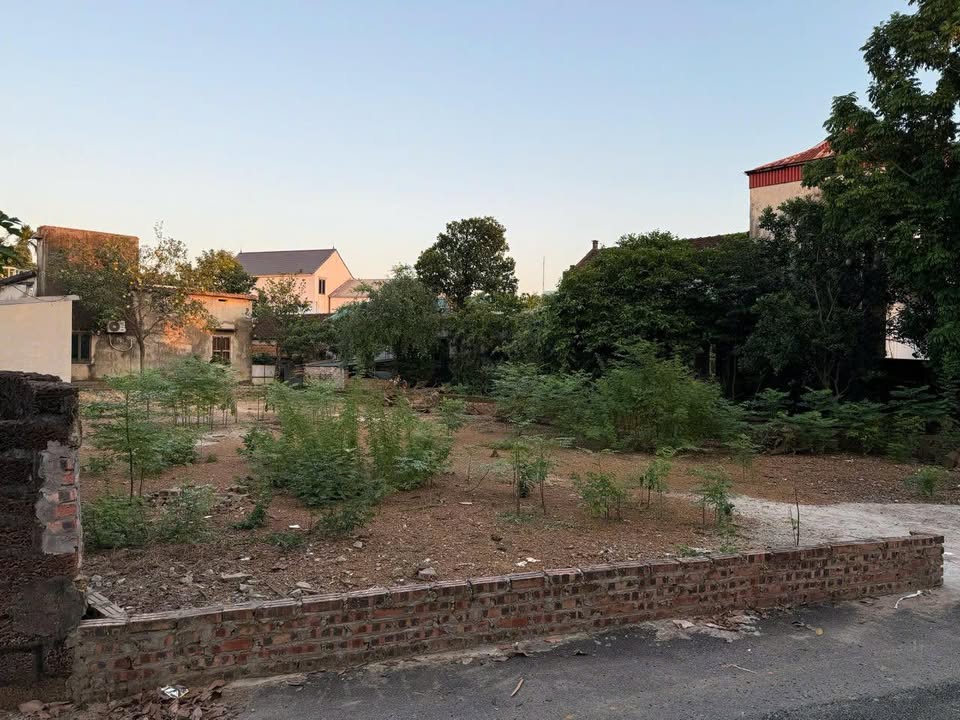 Đất nền Phú Cát Quốc Oai 412m² giá 2x triệu - Đầu tư tiềm năng, sổ hồng chính chủ!