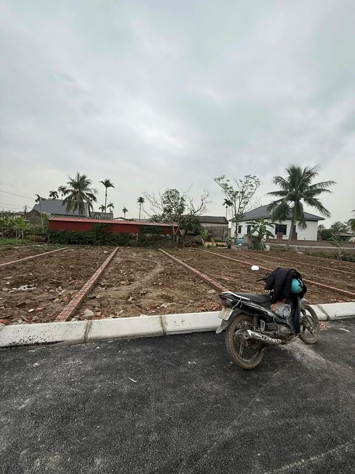 Đất nền khu phố Đại Điền, Tân Viên 93m² giá 1 tỷ - Cơ hội đầu tư tuyệt vời!