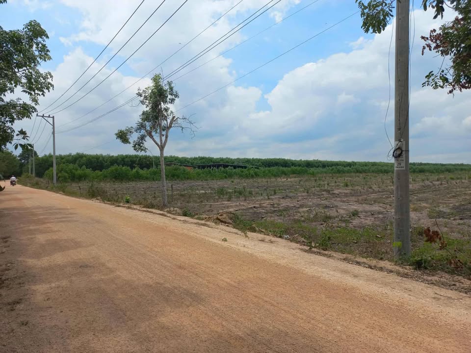 Đất nền Trà Tân, Đức Linh, Bình Thuận 2ha giá 6 tỷ - Tiềm năng phát triển lớn!