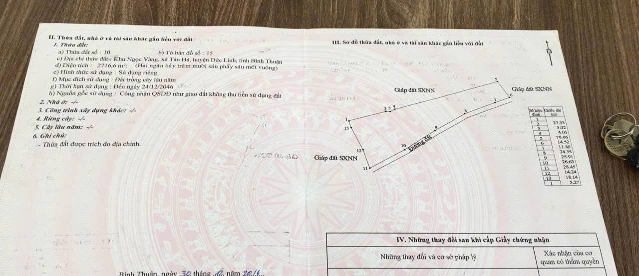 Đất điều 2 xào 7 tại Trà Tân, Đức Linh - Giá chỉ 875 triệu