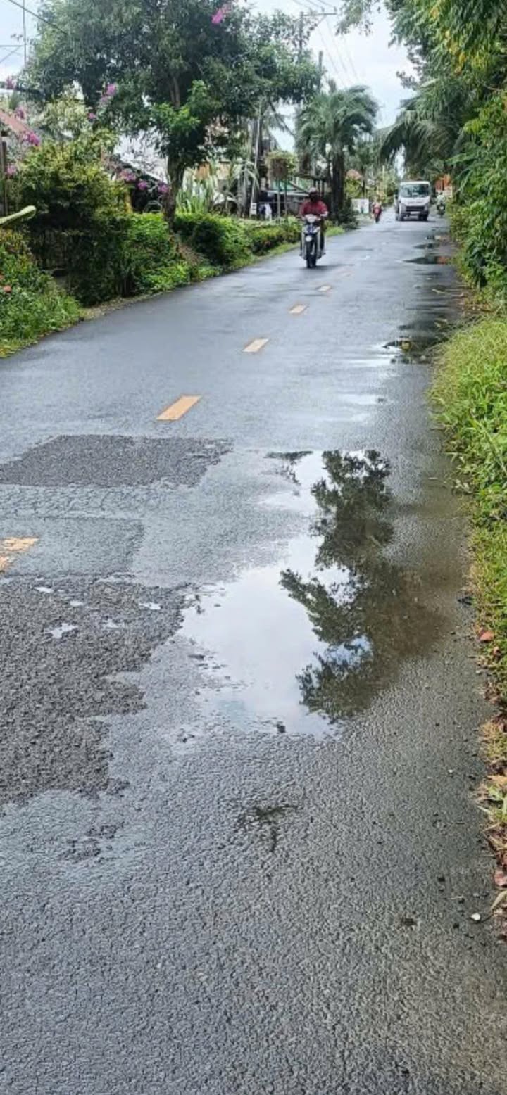 Đất nền mặt tiền lộ nhựa Ấp Sơn Phú, Ngã Bảy 410m² giá 1.29 tỷ - Đầu tư sinh lời ngay!