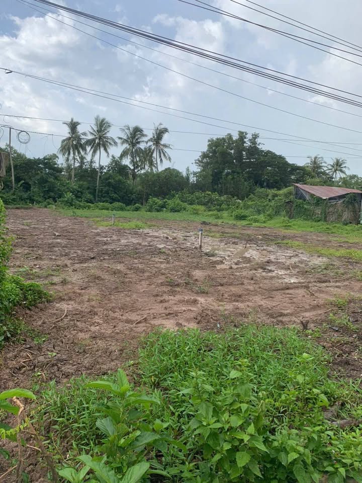 Đất nền Tài Văn, Trần Đề 5185m² giá 350 triệu - Pháp lý rõ ràng, tiện ích đầy đủ!