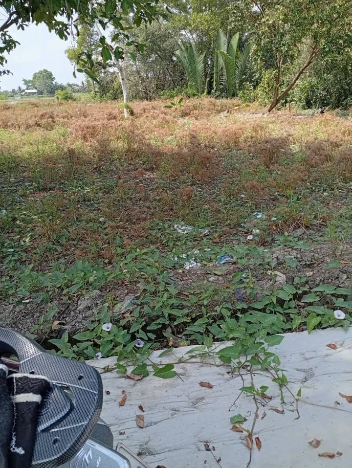 Đất nền Vĩnh Thanh Ngã Năm 3402m² giá 1.713 tỷ - Cơ hội đầu tư tuyệt vời!