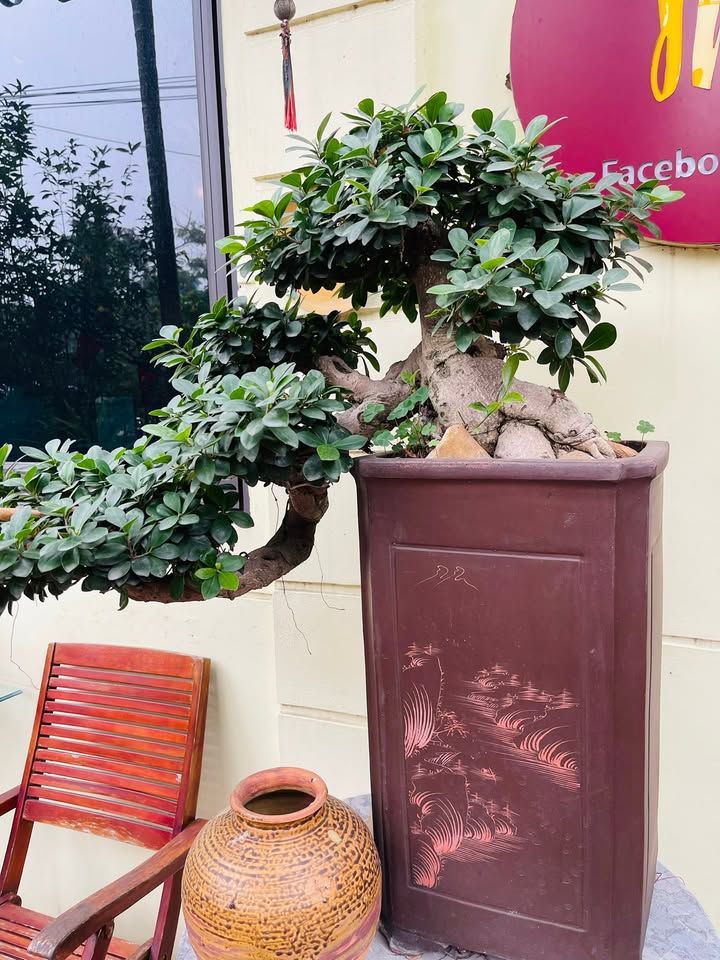 Nhà 3 tầng Quang Trung, Thái Bình 72m² giá 4 tỷ - Dân xây chắc chắn, vị trí đắc địa!