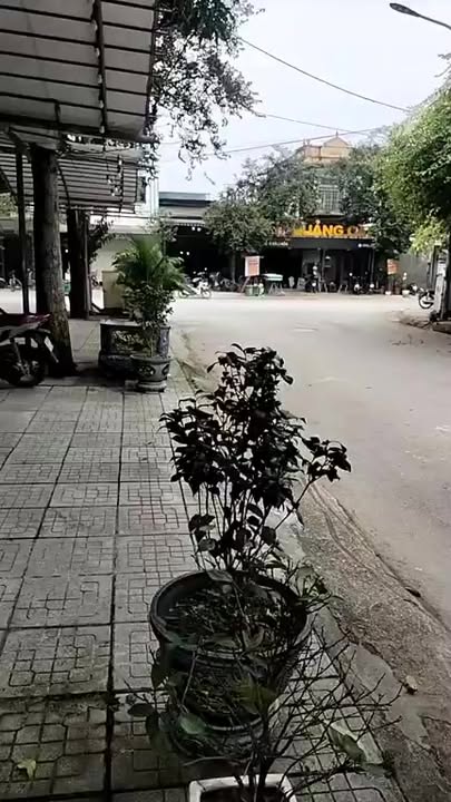 Đất nền Đông Cương 100m² chỉ từ 2.2 tỷ - Cơ hội đầu tư hấp dẫn!