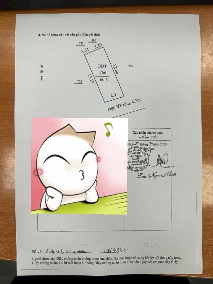 Đất nền Đông Sơn Thanh Hóa 60.6m² giá 1.1 tỷ - Đầu tư sinh lời tốt!