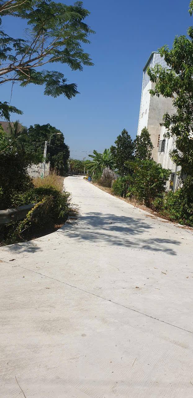 Đất thổ vườn xã Phước Hiệp, Củ Chi 4230m² giá 12 tỷ - Cơ hội đầu tư hấp dẫn!