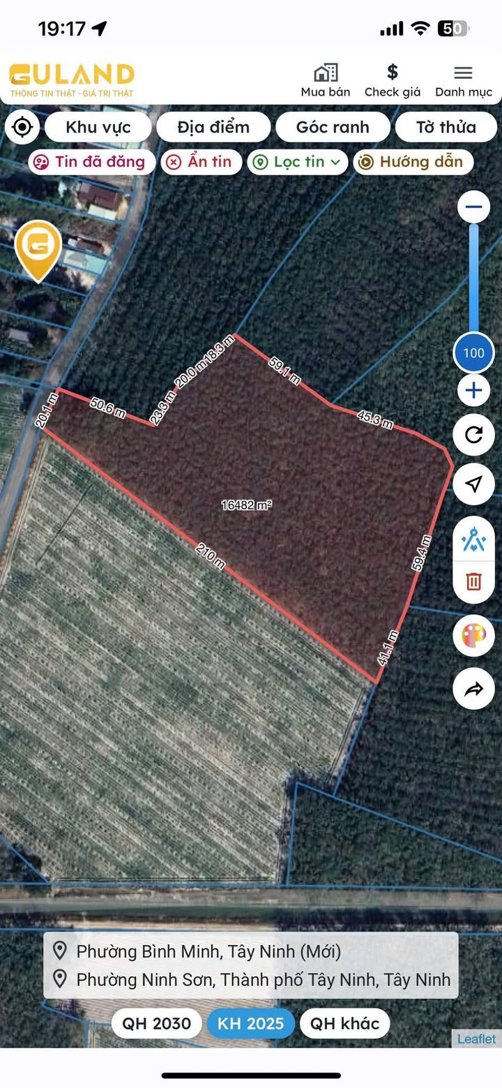 Farm 1.6ha cao su Hòa Hiệp Tân Biên giá 2.2 tỷ - Đầu tư sinh lời ngay!