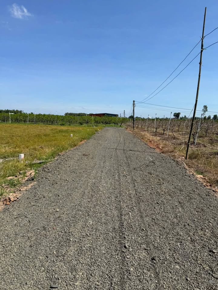 Đất nền phường Bình Minh, Tây Ninh 1000m² giá chỉ 315 triệu - Nơi an cư lý tưởng với view núi Bà!