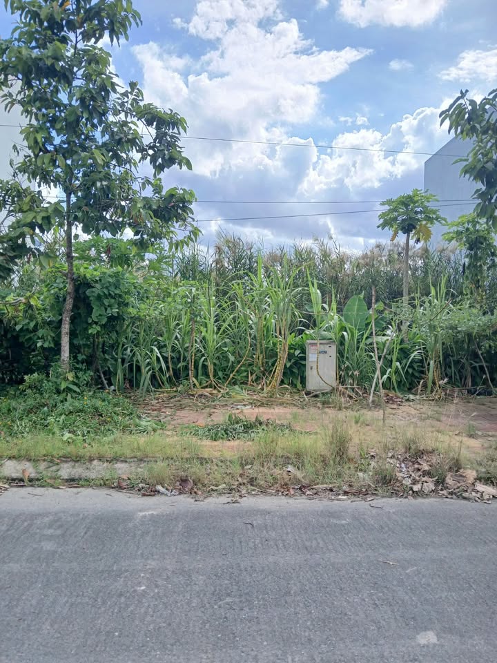 Đất nền mặt tiền đường A4 KDC Tân Phú Cần Thơ 90m² - Giá mềm, thương lượng ngay!