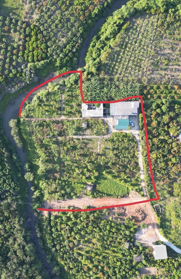 Đất trang trại Phượng Sơn 6000m² giá 2.25 tỷ - Phù hợp quy hoạch thổ cư!