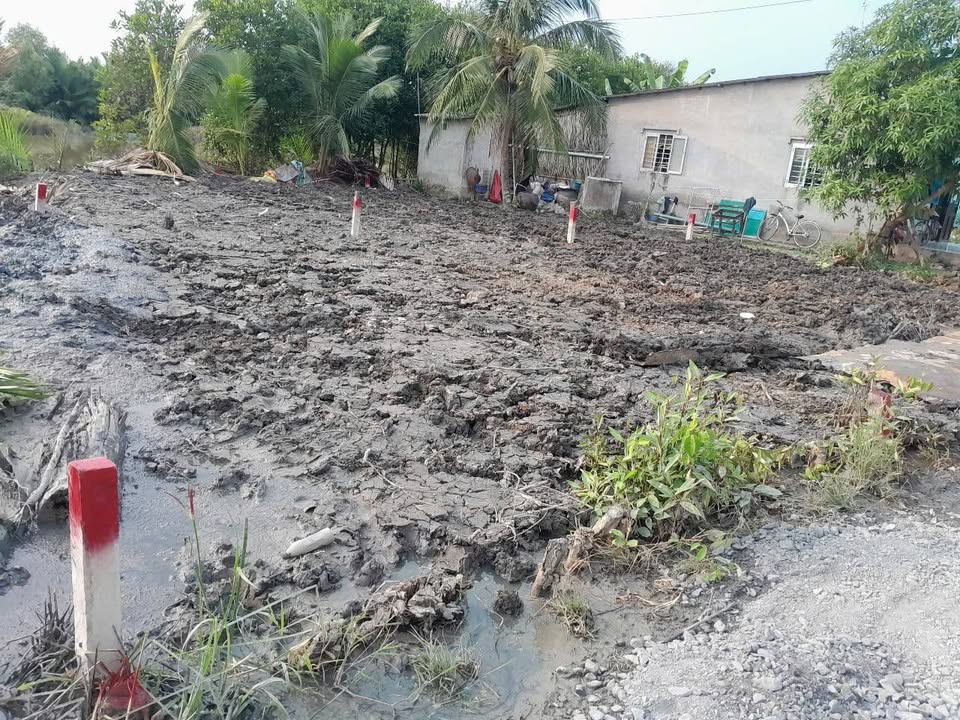 Đất nền Phước Đông Cần Đước 96m² chỉ 490 triệu - Cơ hội đầu tư tuyệt vời!