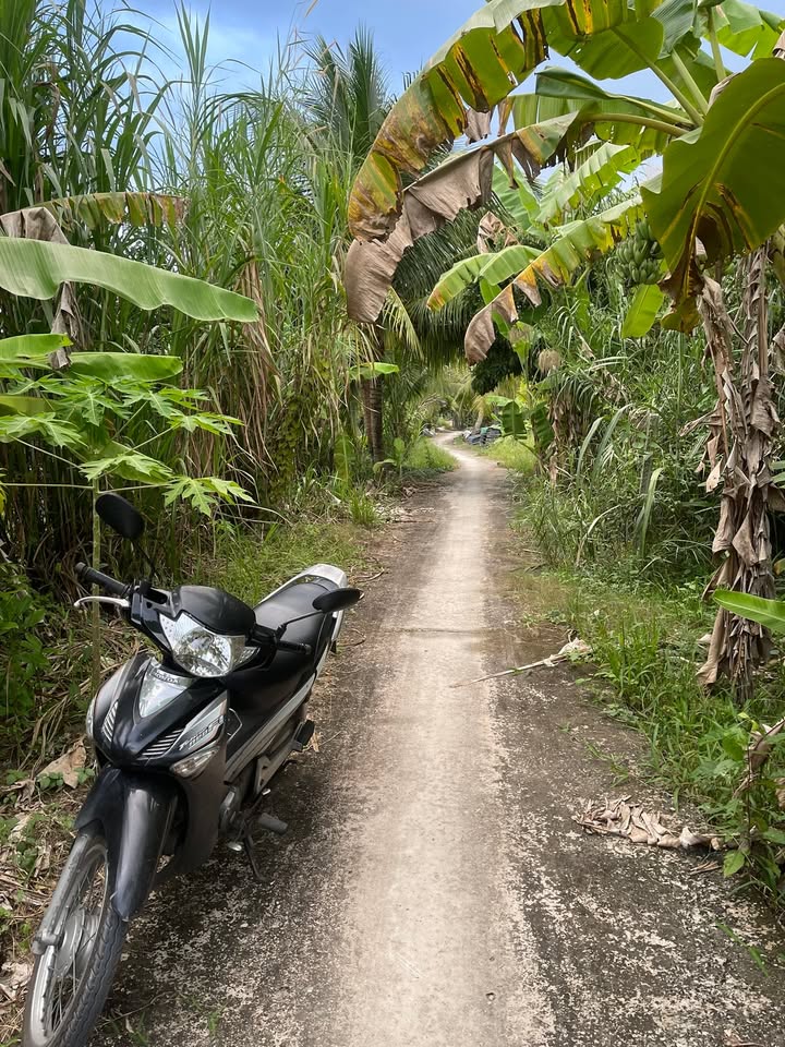 Đất nền Trường Thành, Thới Lai 410m² giá 390 triệu - Pháp lý rõ ràng, sẵn sàng ở!